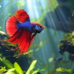 Cardinalis : Tout savoir sur ce poisson d’eau douce